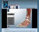 Orthosurgeons Website - www.orthosurgeons.com
